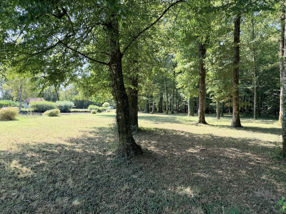 Vente Propriété/Château A 2 H DE PARIS, BOURGOGNE, SAINT FARGEAU (89170), Pour les amateurs de PÊCHE : 8,8 HA : ÉTANGS, BOIS, MAISON St fargeau