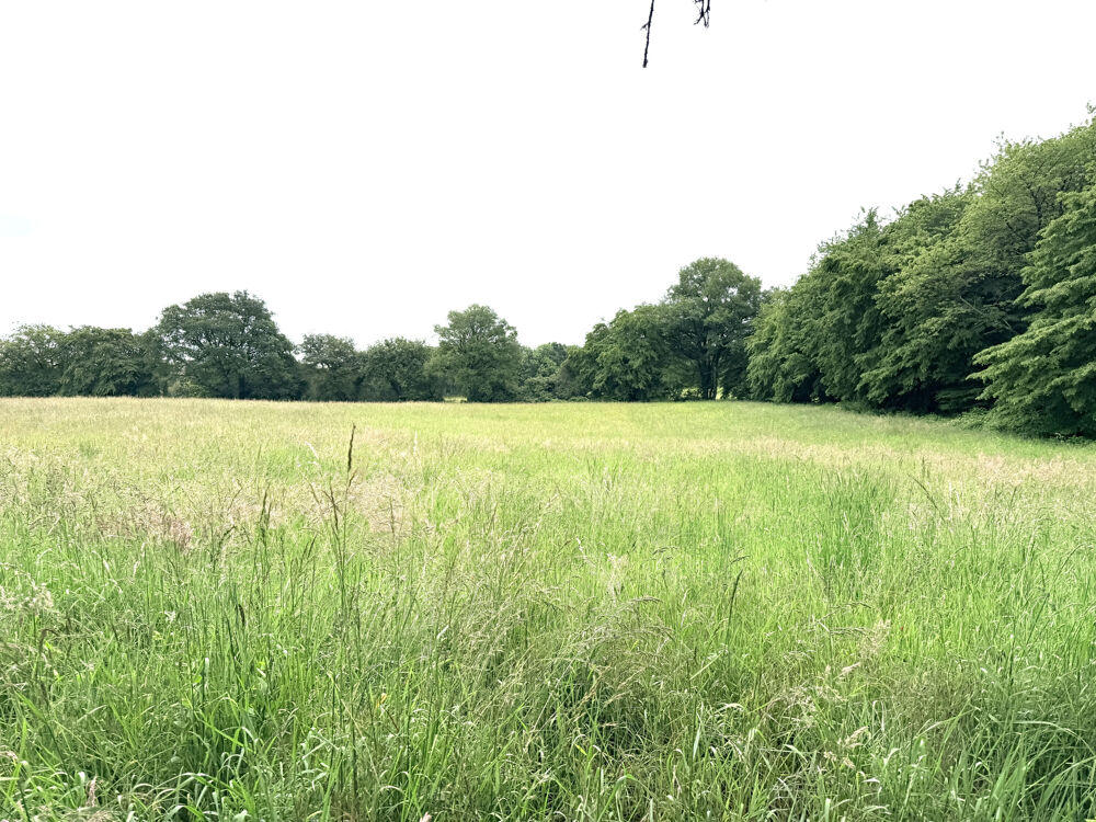 A 1H40 de PARIS A6 et 9 mn de TOUCY, vous trouverez cette charmante maison sur 1,4 ha de prairie.
