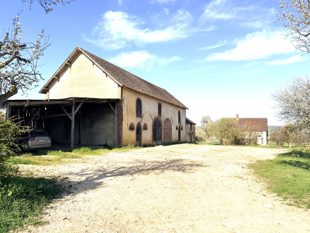A 15 min de TOUCY et de CHARNY Orée de Puisaye, ensemble de biens dont une maison de 86 m2 et un bâtiment agri