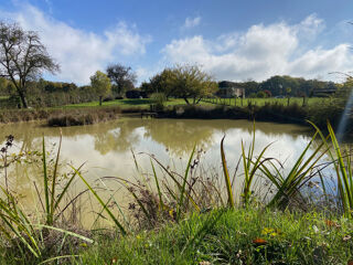  Maison � vendre 8 pi�ces 240 m�