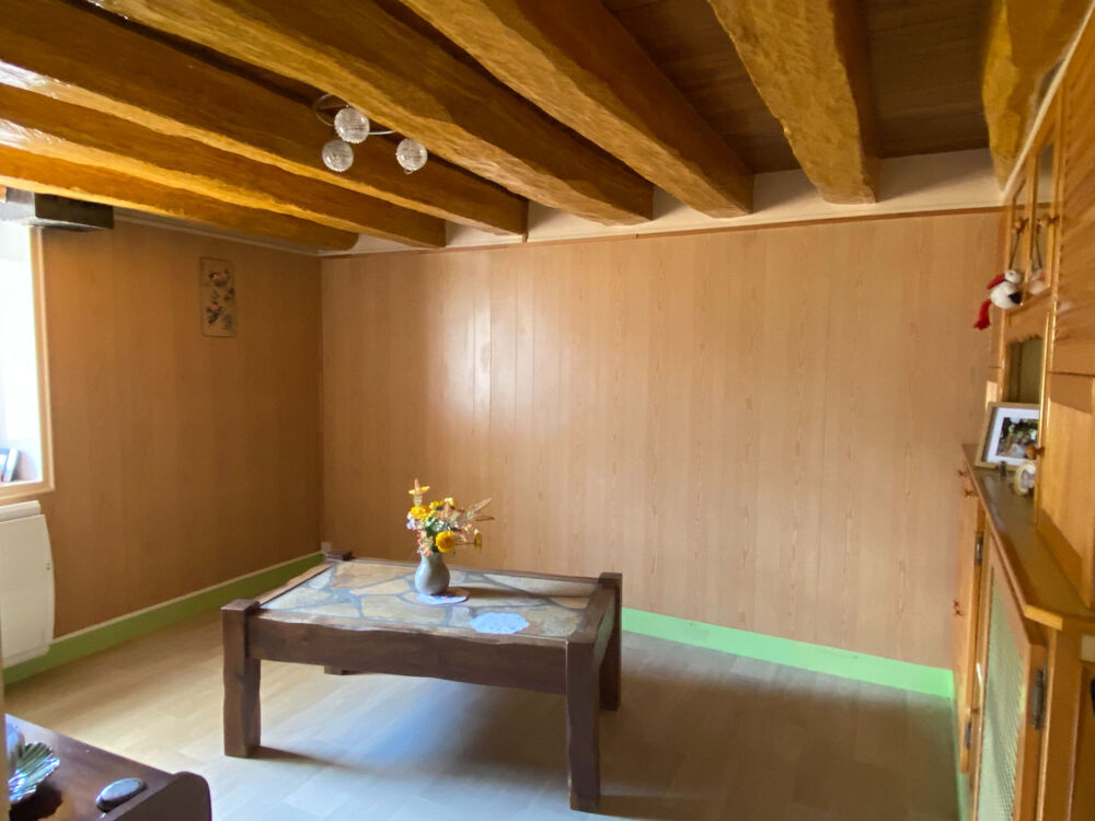 Vente Maison A 15 mn de TOUCY, Maison ancienne avec jardin, garage, atelier, cellier, cave voûtée ... Saints