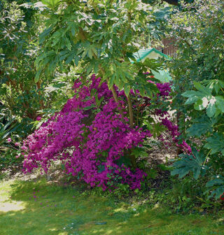  Maison � vendre 8 pi�ces 175 m�