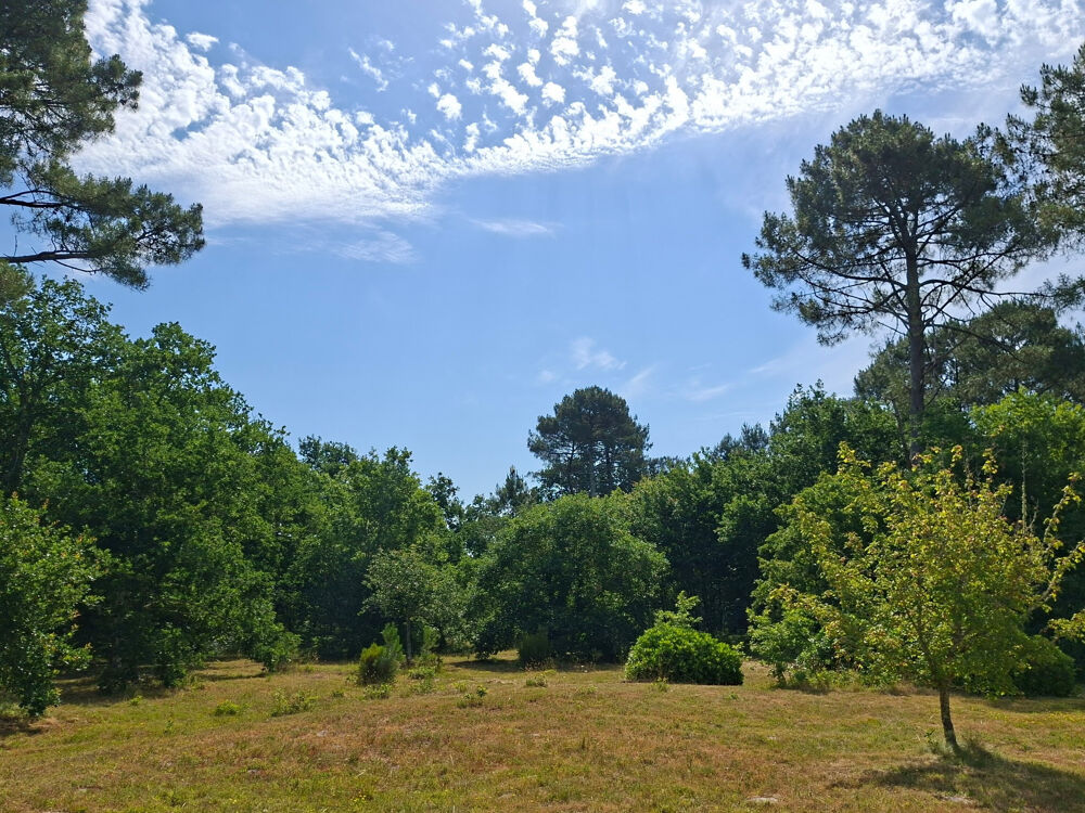 à vendre  Maison Lacanau (33680)