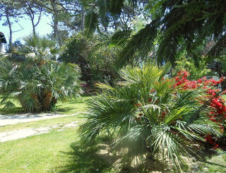  Maison � vendre 8 pi�ces 175 m�