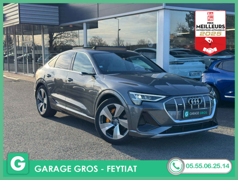 Audi E-TRON S-LINE +T.PANO+GPS+CUIR+CAM360+PARK ASSIST+OPTS 2020 occasion Feytiat 87220