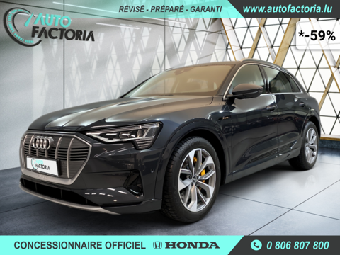 Audi E-TRON +GPS+CUIR+CAM360+FULL LED+CLIM BIZONE+OPTIONS 2021 occasion L-3844 SCHIFFLANGE 