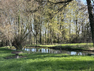  Propriété/château à vendre 10 pièces 294 m²