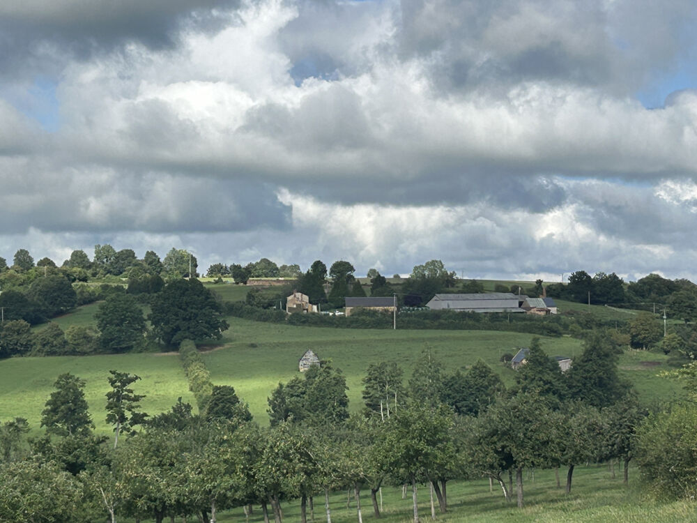 Vente Autre Au coeur de la campagne du sud Pays d'auge, l'agence CAZIN IMMOBILIER de GACE vous propose à la vente cette pr Gace