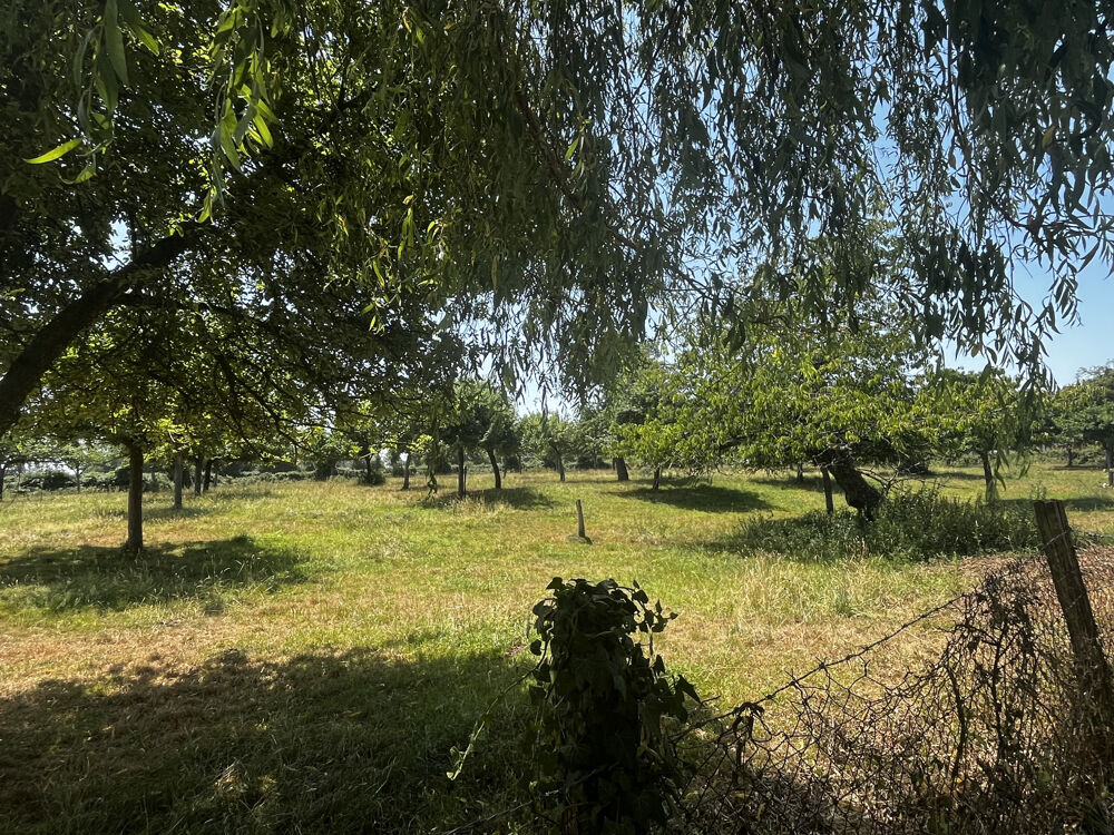 Vente Maison Longère entourée de prairies Vimoutiers