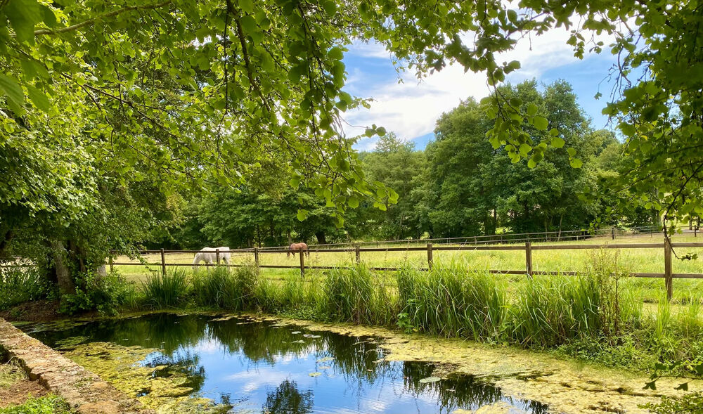 Vente Maison Magnifique logis du 17ème siècle sur 3,8ha, au coeur de la campagne préservée du sud pays d'auge. Gace