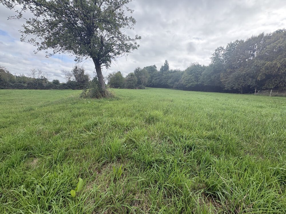 Vente Maison PAVILLON DE PLAIN PIED AVEC 1 HECTARE Gace