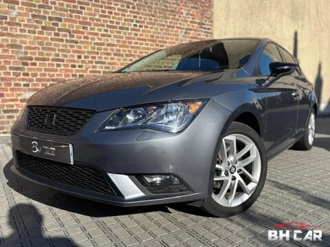 Seat leon - Gris