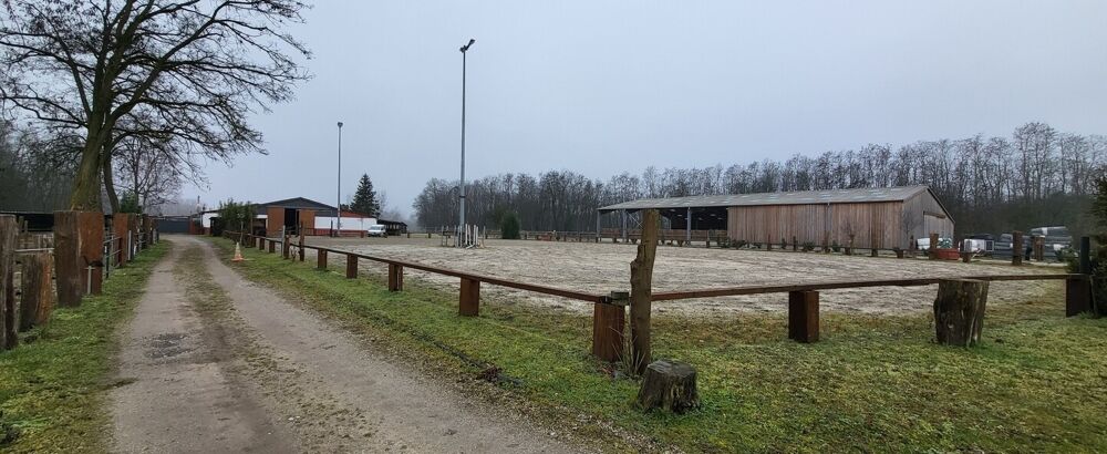 Vente Immeuble Centre équestre proximité HAGUENAU Schaffhouse-près-seltz
