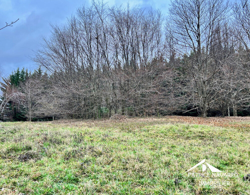 Vente Terrain TERRAIN A BÂTIR 2279 m² Châteuaneuf-de-vernoux