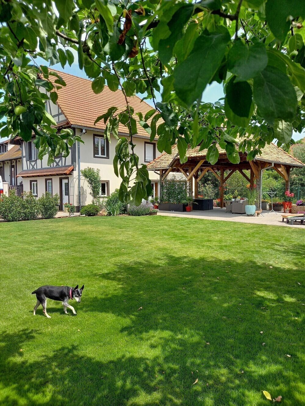 � vendre  Maison Diebolsheim (67230)