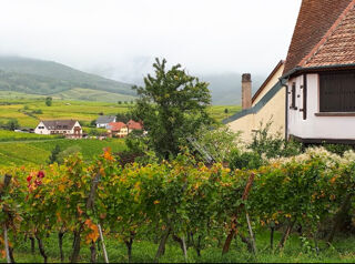  H�tel Particulier � vendre 15 + pi�ces 370 m� Zellenberg