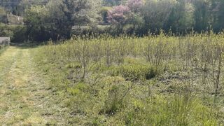  Terrain à vendre 3955 m²