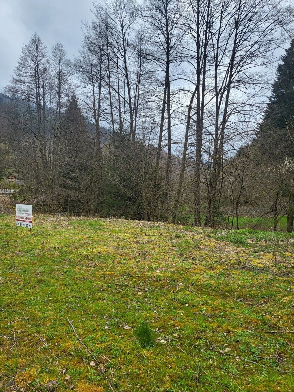 Vente Terrain Terrain � b�tir de 1286 m� en lisi�re de for�t Grandfontaine