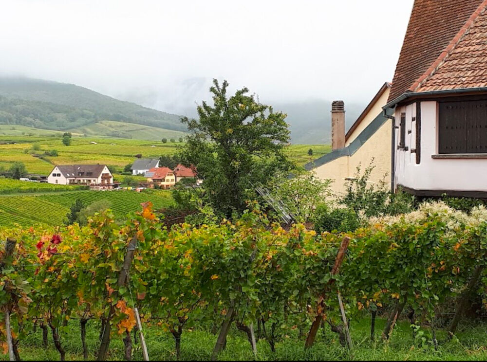 � vendre  H�tel Particulier Zellenberg (68340)