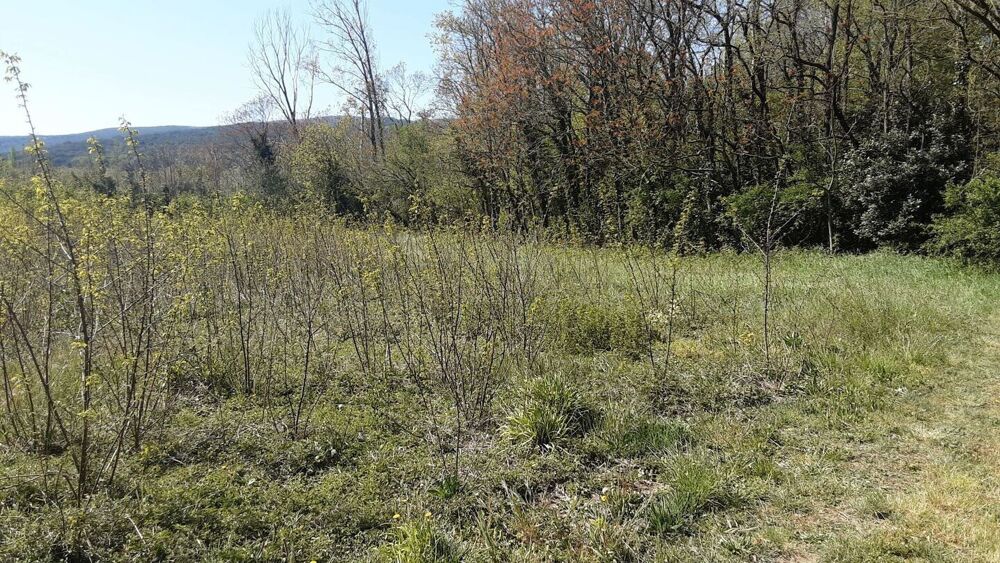 Vente Terrain Terrain Constructible Saint-montan