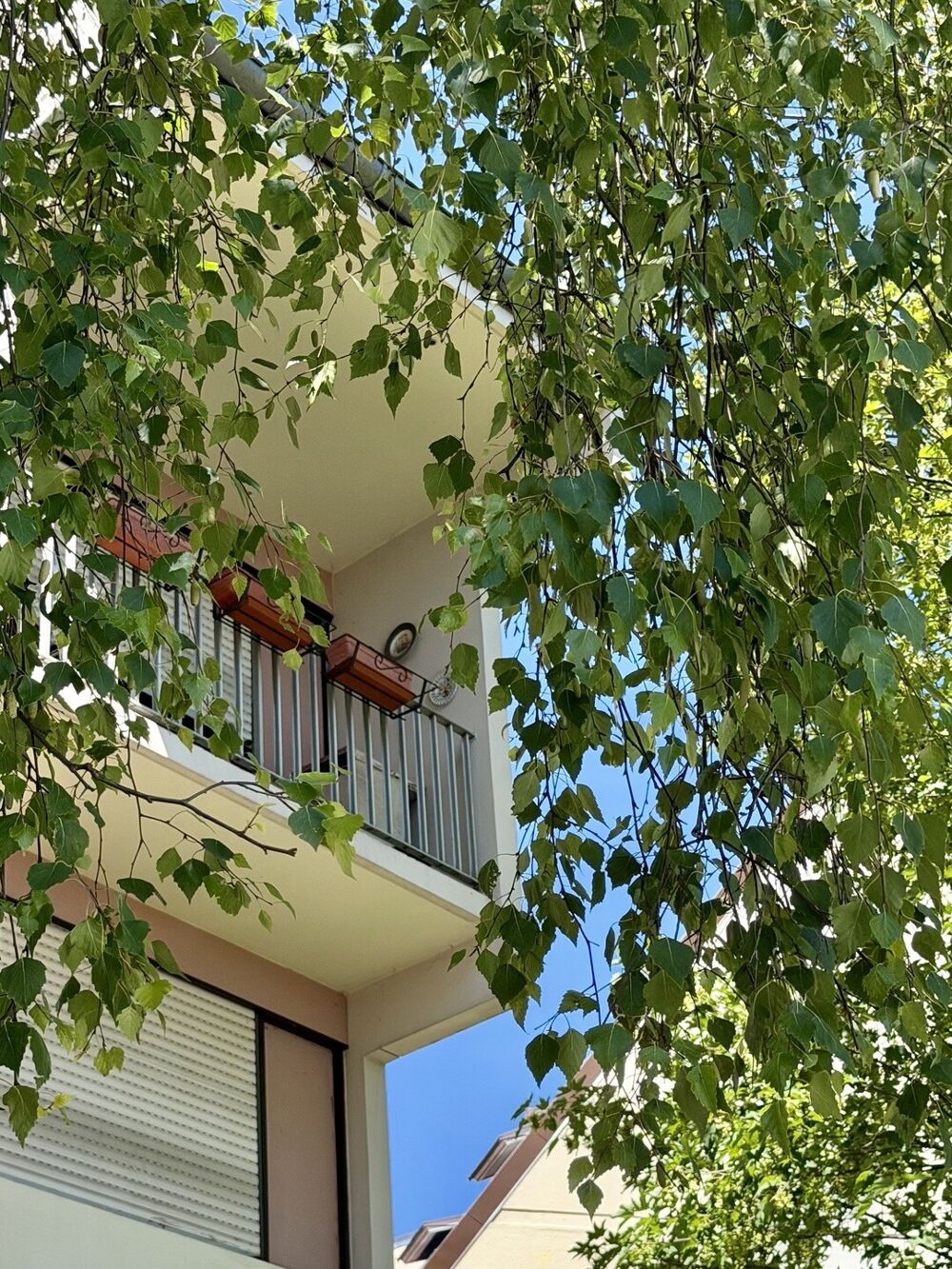 Vente Appartement Appartement 3 pièces à Schiltigheim Schiltigheim