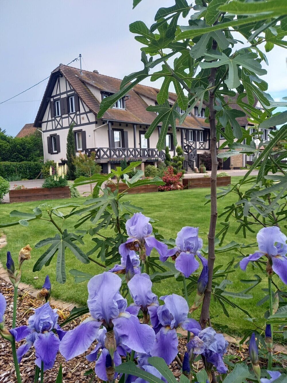 � vendre  Maison Diebolsheim (67230)