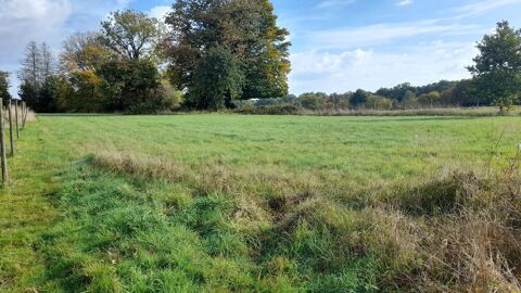   A vendre terrain  btir de 1468 m2 sur la commune de Svigny la Fort 