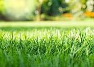  Terrain � vendre 601 m�