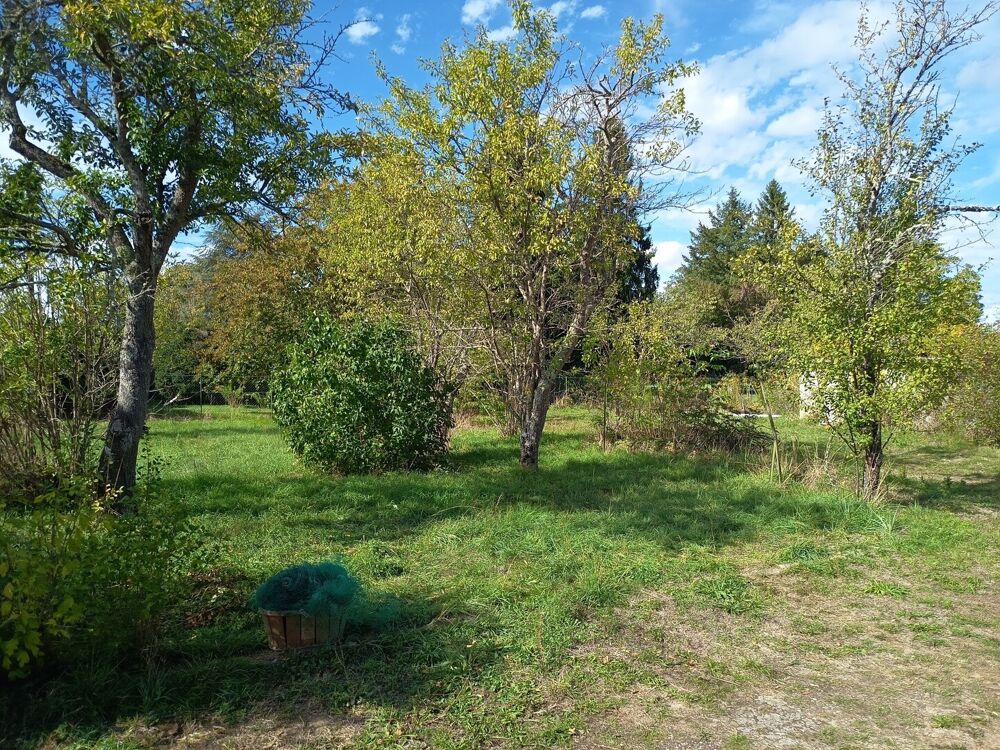 Vente Terrain TERRAIN CONSTRUCTIBLE BOIS-LE-ROI Bois-le-roi