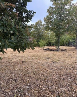  Terrain à vendre 800 m²