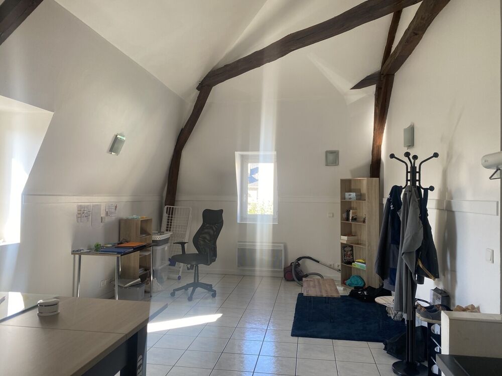 Vente Hôtel particulier Immeuble de Caractère Issoudun