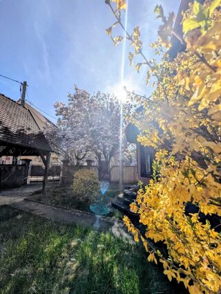  Immeuble à vendre 6 pièces 258 m²