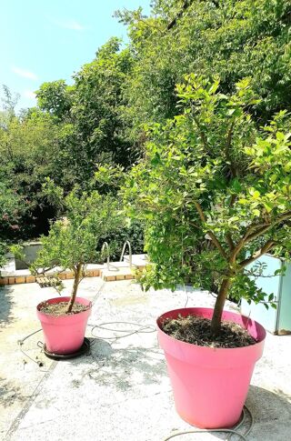  Maison � vendre 6 pi�ces 141 m�