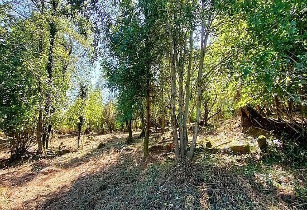 Vente Terrain TERRAIN DE 7280M² DONT 1620M² CONSTRUCTIBLE Neuvic