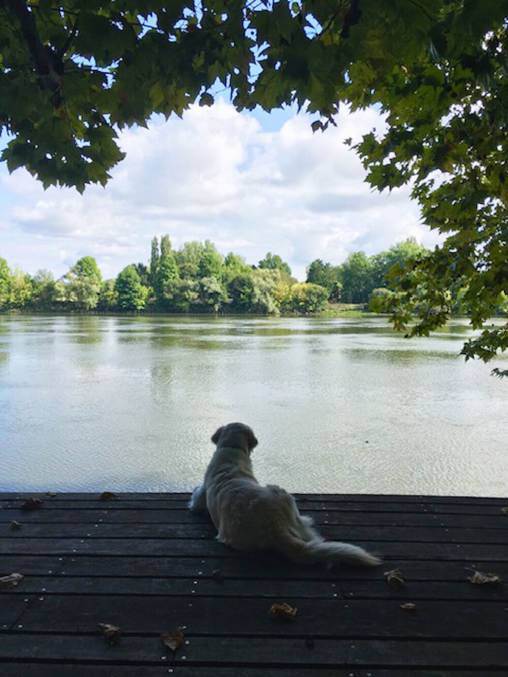ATTACHANTE PROPRIETE AVEC PONTON SUR L'ADOUR