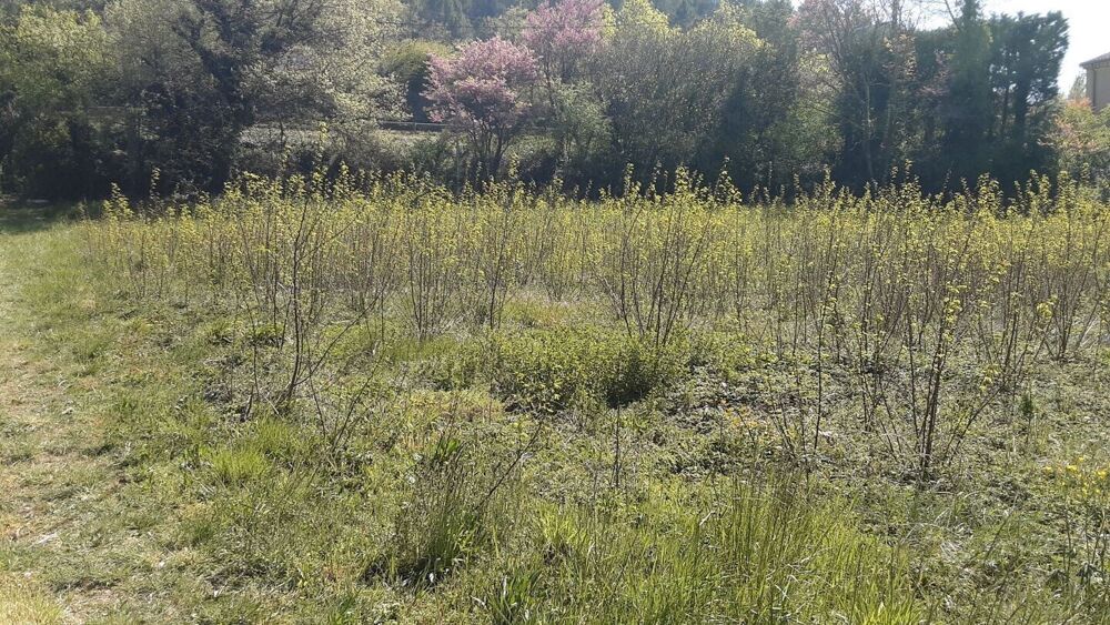 Vente Terrain Terrain Constructible Saint-montan