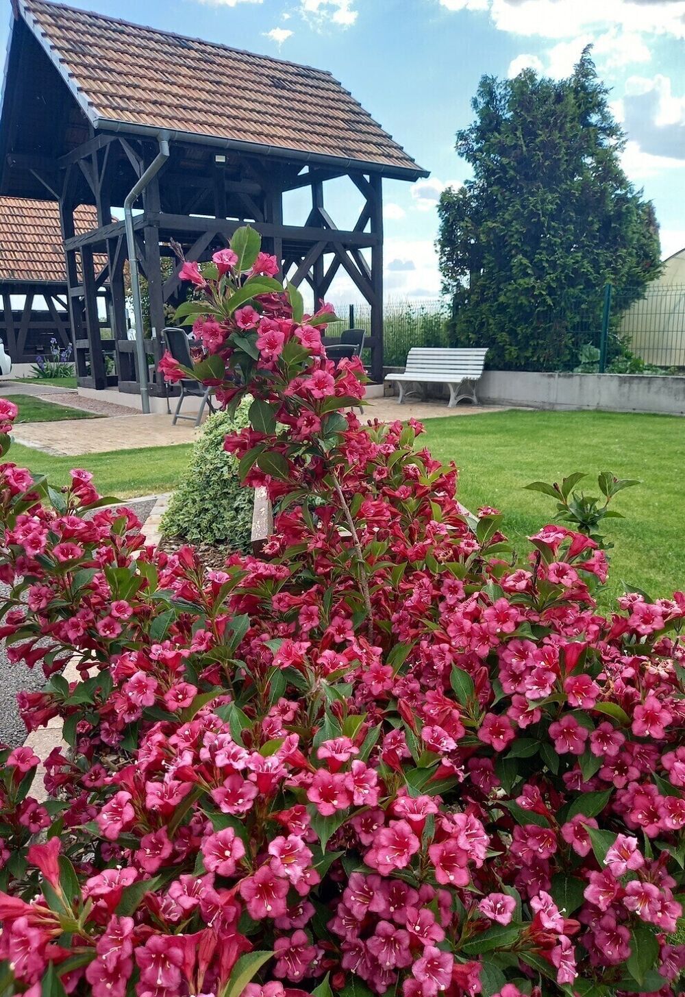 � vendre  Maison Diebolsheim (67230)