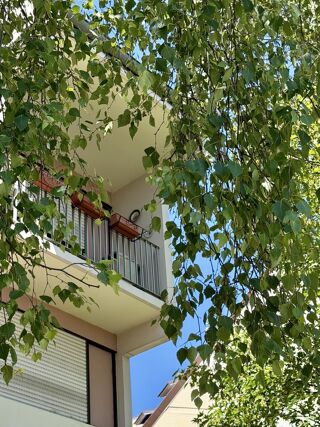 Vente Appartement Appartement 3 pièces à Schiltigheim Schiltigheim