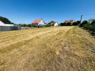  Terrain à vendre 1 pièce 1385 m²