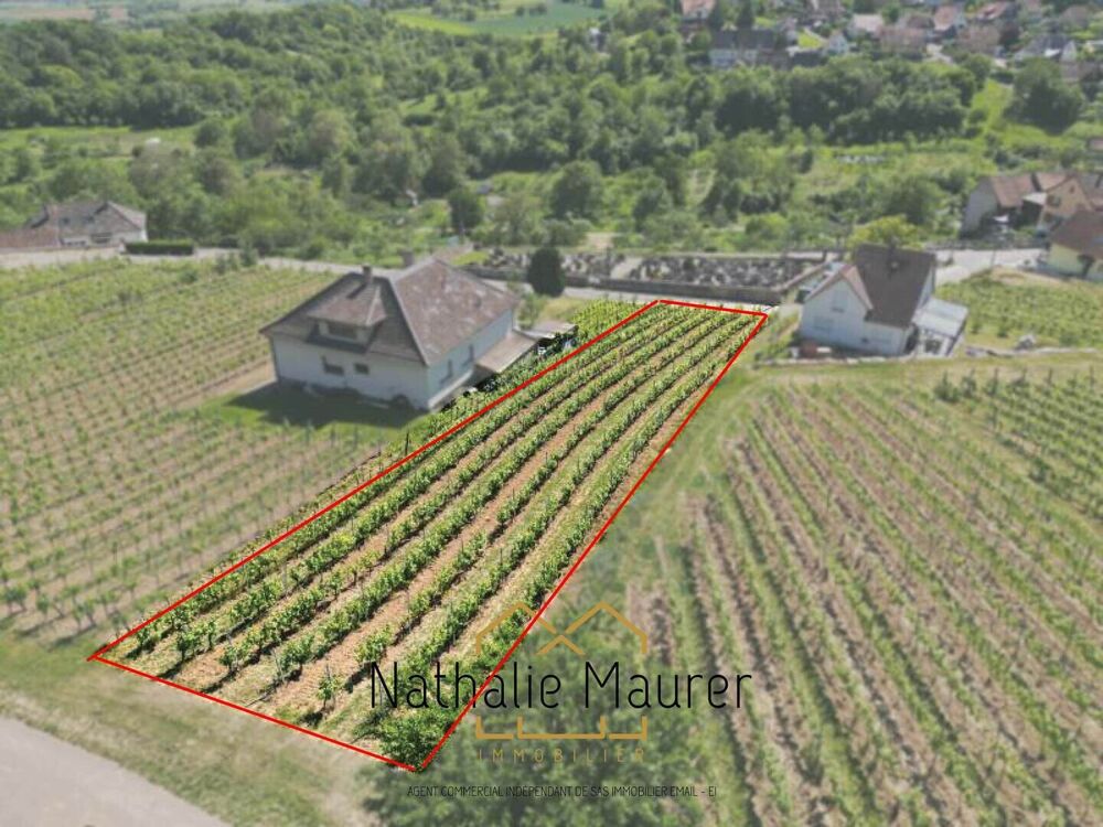 Vente Terrain Grand Terrain constructible hors lotissement Rosheim