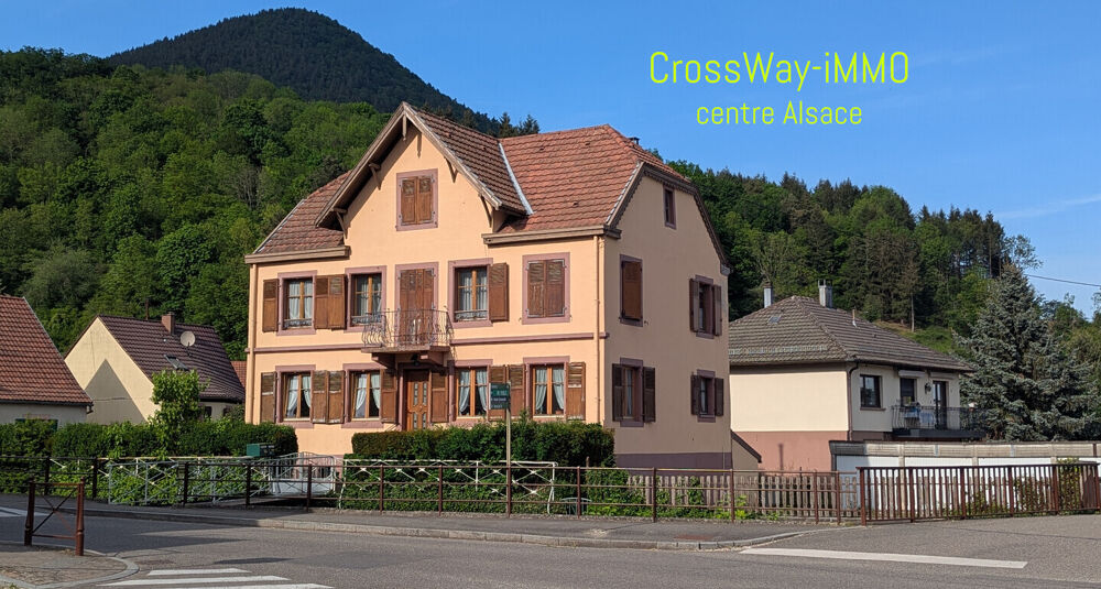 Vente Immeuble Pour investisseur : immeuble 2 appartements en location + 6 garages Lièpvre