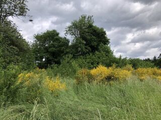  Terrain � vendre 3105 m�