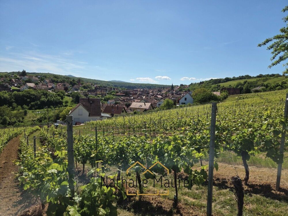 Vente Terrain Grand Terrain constructible hors lotissement Rosheim