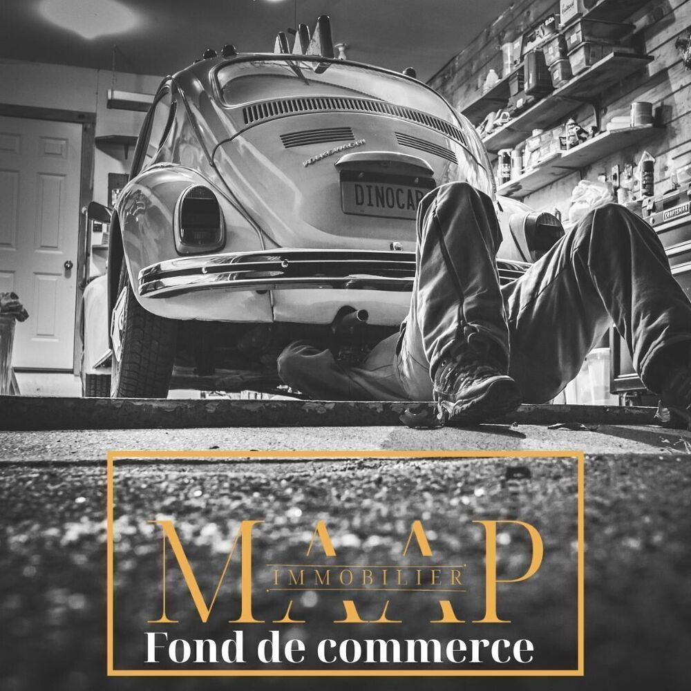   Vente garage automobile avec 2 appartements 