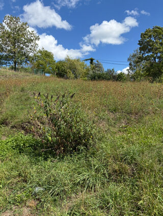  Appartement  vendre 2 pices 54 m