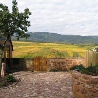  H�tel Particulier � vendre 15 + pi�ces 370 m�