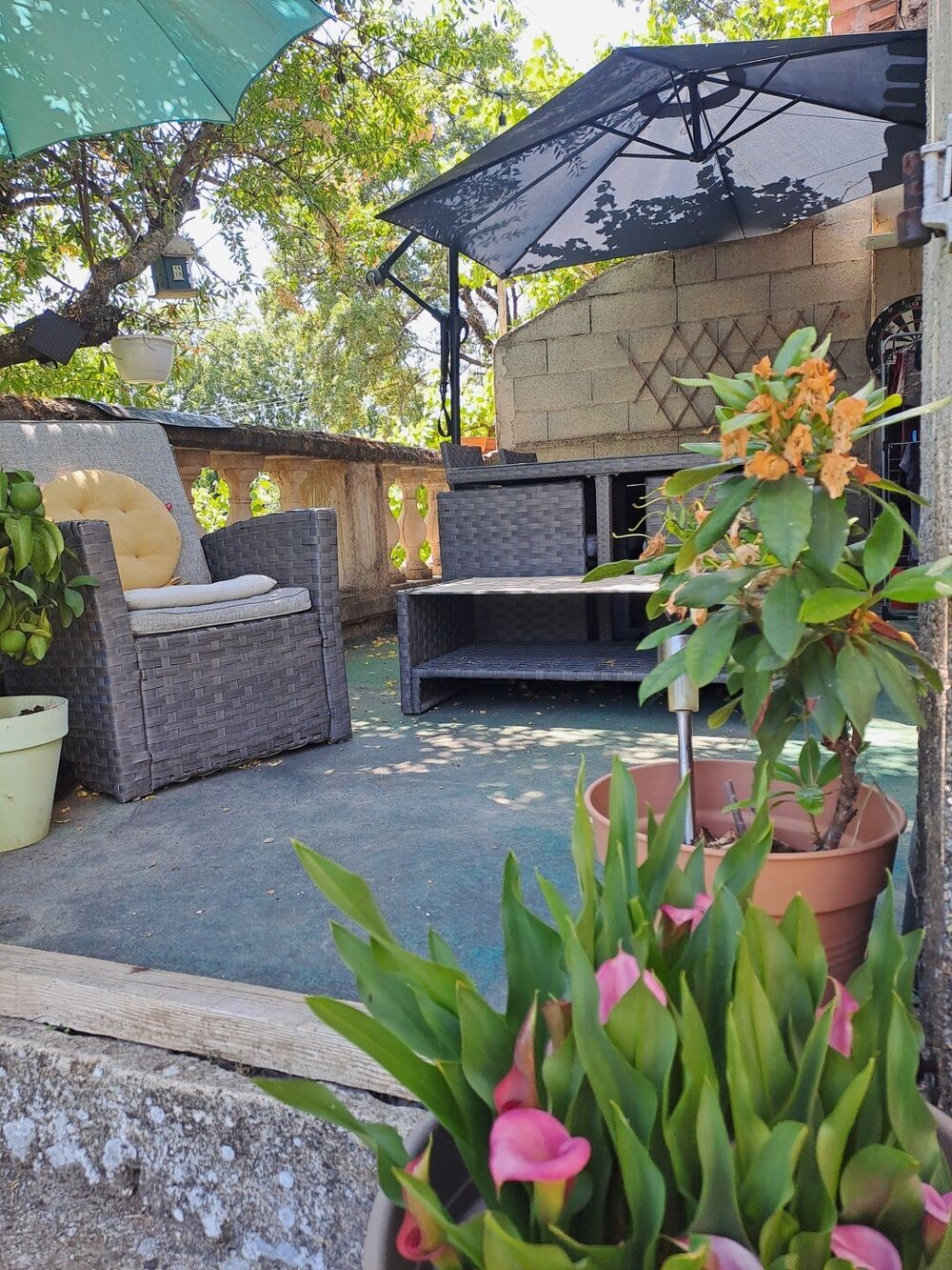 EXCLUSIVITE: Villa familiale, calme, confort et beaux volumes