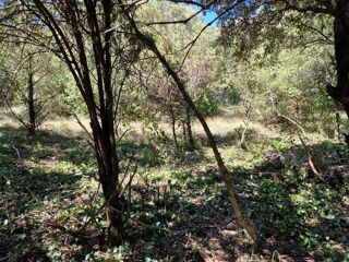  Terrain � vendre 1782 m�