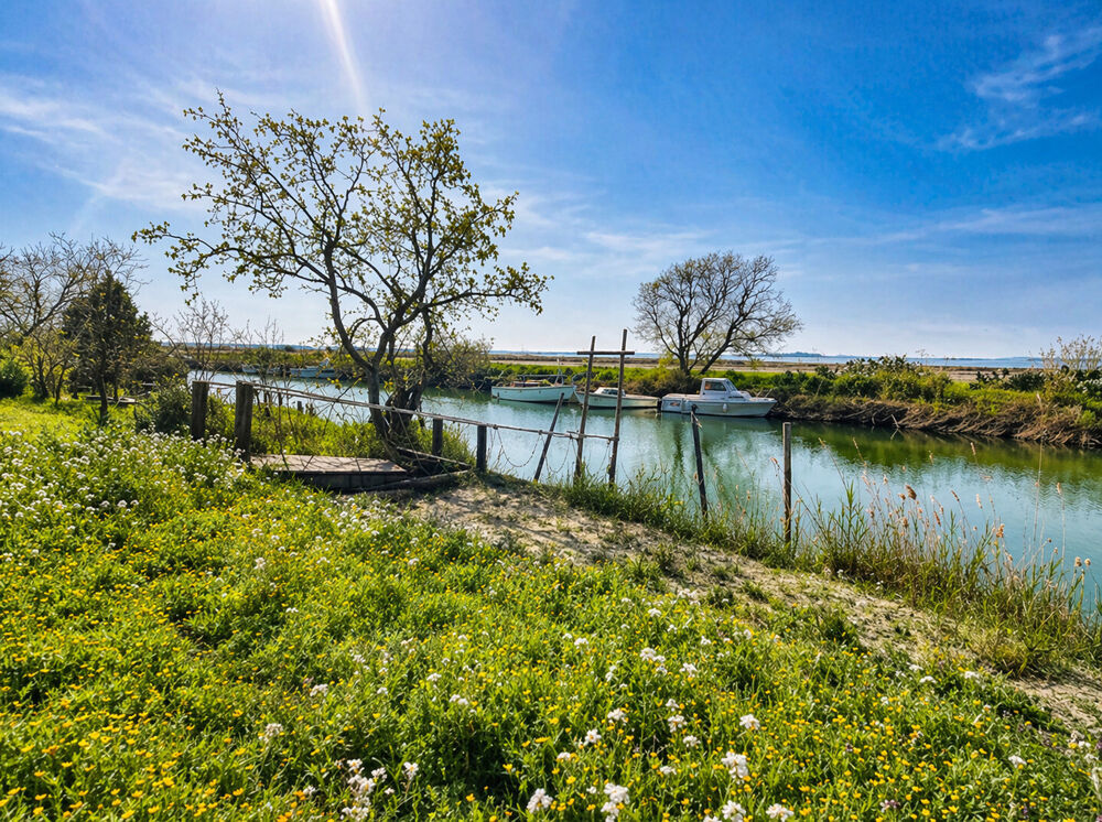 � vendre  Maison Lattes (34970)