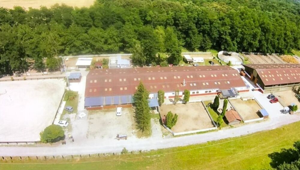 Vente Immeuble Centre équestre proximité HAGUENAU Schaffhouse-près-seltz
